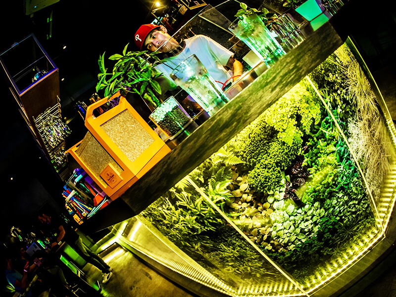 LITTS BAR ＆ GRILL SHIBUYA - バー リッツ 渋谷 | 東京 渋谷 宇田川町のラグジュアリーBAR